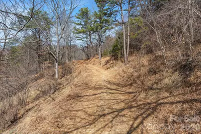 999 Wilson Drive, Canton, NC 28716 - Photo 21