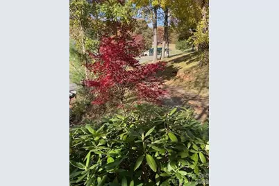 271 Wiggins Road, Candler, NC 28715 - Photo 9