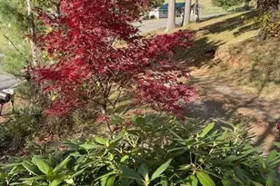 271 Wiggins Rd, Candler, NC 28715 - Photo 9