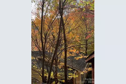 271 Wiggins Road, Candler, NC 28715 - Photo 11