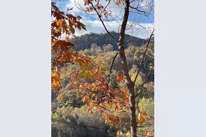 271 Wiggins Road, Candler, NC 28715 - Photo 3