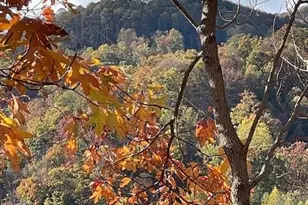 271 Wiggins Rd, Candler, NC 28715 - Photo 3