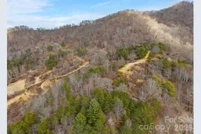 154 Wilson Drive, Canton, NC 28716 - Photo 15