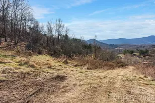 154 Wilson Dr, Canton, NC 28716 - Photo 21