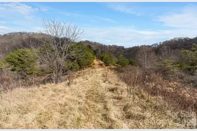 154 Wilson Drive, Canton, NC 28716 - Photo 33