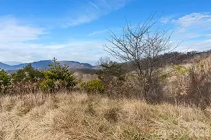 154 Wilson Dr, Canton, NC 28716 - Photo 37