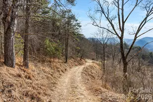 154 Wilson Dr, Canton, NC 28716 - Photo 25