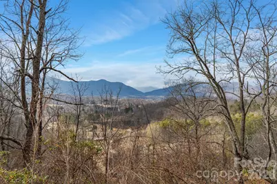 154 Wilson Drive, Canton, NC 28716 - Photo 31