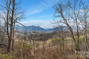 154 Wilson Dr, Canton, NC 28716 - Photo 31