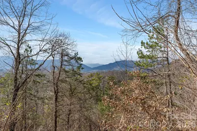 154 Wilson Drive, Canton, NC 28716 - Photo 29