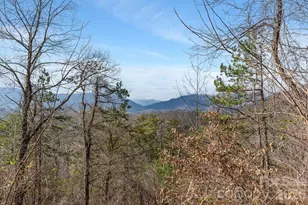 154 Wilson Dr, Canton, NC 28716 - Photo 29