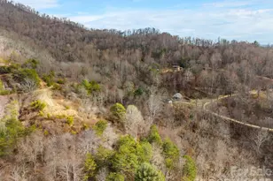 154 Wilson Dr, Canton, NC 28716 - Photo 13