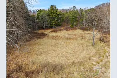 154 Wilson Drive, Canton, NC 28716 - Photo 19