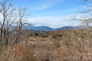 154 Wilson Dr, Canton, NC 28716 - Photo 23