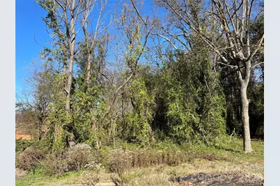 Tbd Blythe Mill Road, Waxhaw, NC 28173 - Photo 5