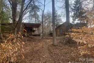 3205 Collinsville Rd, Columbus, NC 28722 - Photo 11