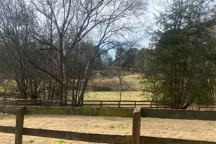 3205 Collinsville Rd, Columbus, NC 28722 - Photo 15