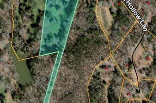 3205 Collinsville Rd, Columbus, NC 28722 - Photo 47