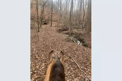 3205 Collinsville Road, Columbus, NC 28722 - Photo 41