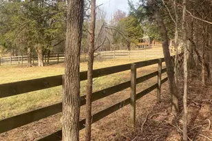 3205 Collinsville Rd, Columbus, NC 28722 - Photo 9