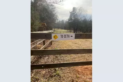 3205 Collinsville Road, Columbus, NC 28722 - Photo 39