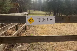 3205 Collinsville Rd, Columbus, NC 28722 - Photo 39