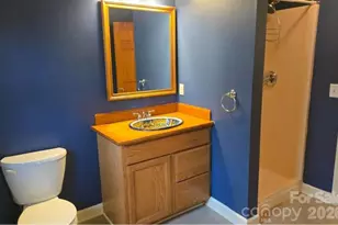 3205 Collinsville Rd, Columbus, NC 28722 - Photo 29