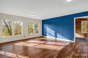 3205 Collinsville Rd, Columbus, NC 28722 - Photo 15