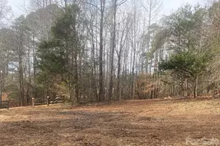 3205 Collinsville Rd, Columbus, NC 28722 - Photo 35