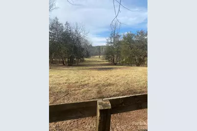 3205 Collinsville Road, Columbus, NC 28722 - Photo 29