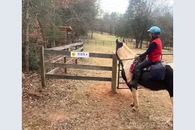 3205 Collinsville Road, Columbus, NC 28722 - Photo 5