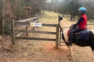 3205 Collinsville Rd, Columbus, NC 28722 - Photo 5