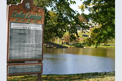 27 Barnett Shoals Drive, Weaverville, NC 28787 - Photo 23