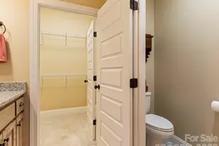 334 Summer Orchard Dr, Hendersonville, NC 28792 - Photo 19