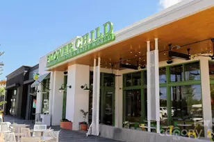 1075 Pinecone Ave, Indian Land, SC 29707 - Photo 19