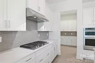 1075 Pinecone Ave, Indian Land, SC 29707 - Photo 11