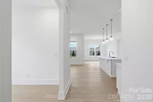 1075 Pinecone Ave, Indian Land, SC 29707 - Photo 3