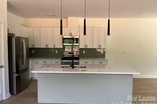 1127 Blessing Orchid Aly, Charlotte, NC 28227 - Photo 5