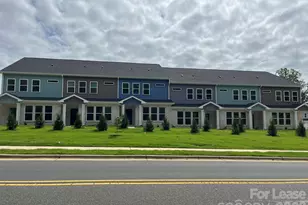 1127 Blessing Orchid Aly, Charlotte, NC 28227 - Photo 3