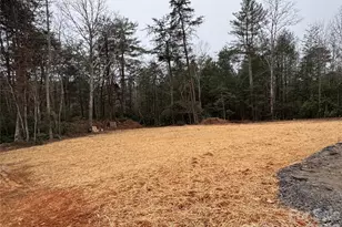 1188 Leck Rd, Morganton, NC 28655 - Photo 21