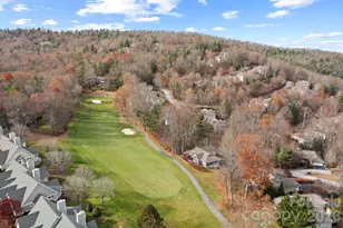 122 Broadmoor Dr, Flat Rock, NC 28731 - Photo 43