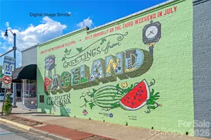 105 Rose Ln, Pageland, SC 29728 - Photo 5