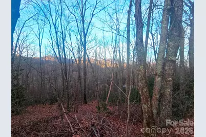 10 Tall Oaks Drive #58A & 58B, Maggie Valley, NC 28751 - Photo 7