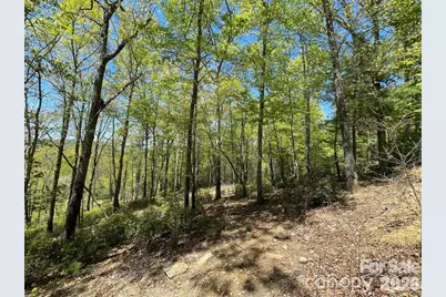 000 Orchard View Trail #11, Spruce Pine, NC 28777 - Photo 17