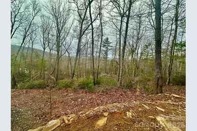 000 Orchard View Trail #11, Spruce Pine, NC 28777 - Photo 1