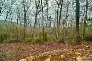 000 Orchard View Trail, Spruce Pine, NC 28777 - Photo 1