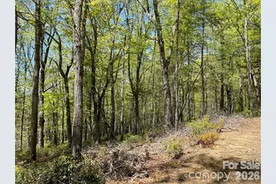 000 Orchard View Trail #11, Spruce Pine, NC 28777 - Photo 11