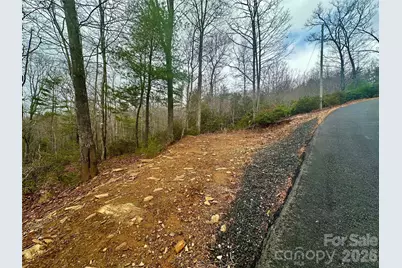 000 Orchard View Trail #11, Spruce Pine, NC 28777 - Photo 5