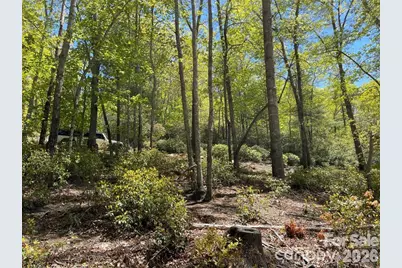 000 Orchard View Trail #11, Spruce Pine, NC 28777 - Photo 3