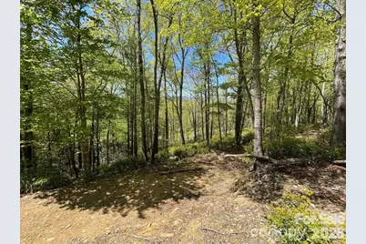 000 Orchard View Trail #11, Spruce Pine, NC 28777 - Photo 7